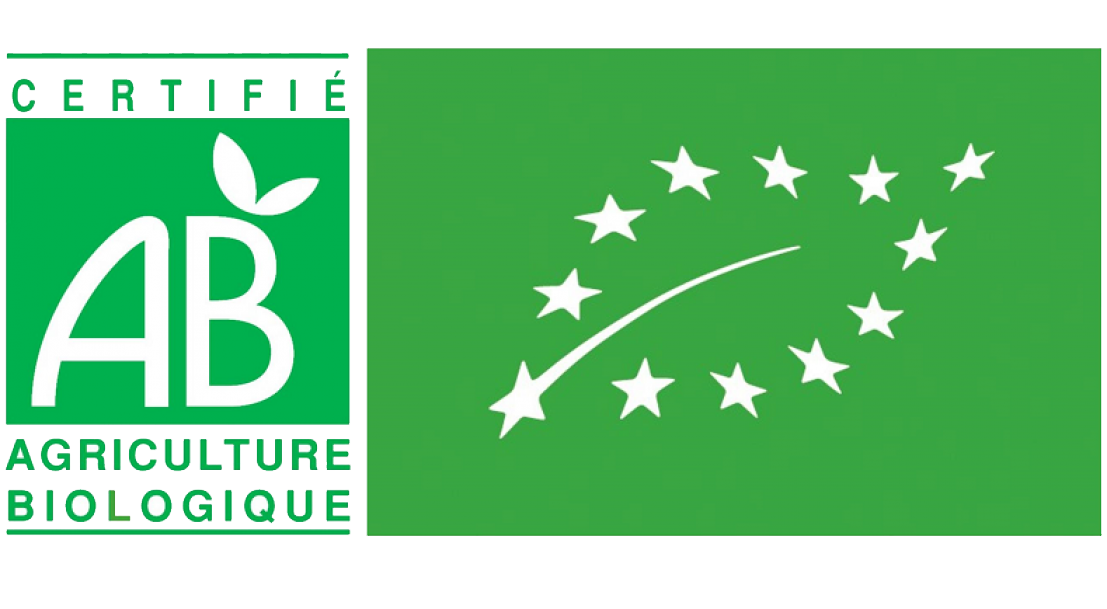 Bio Europe